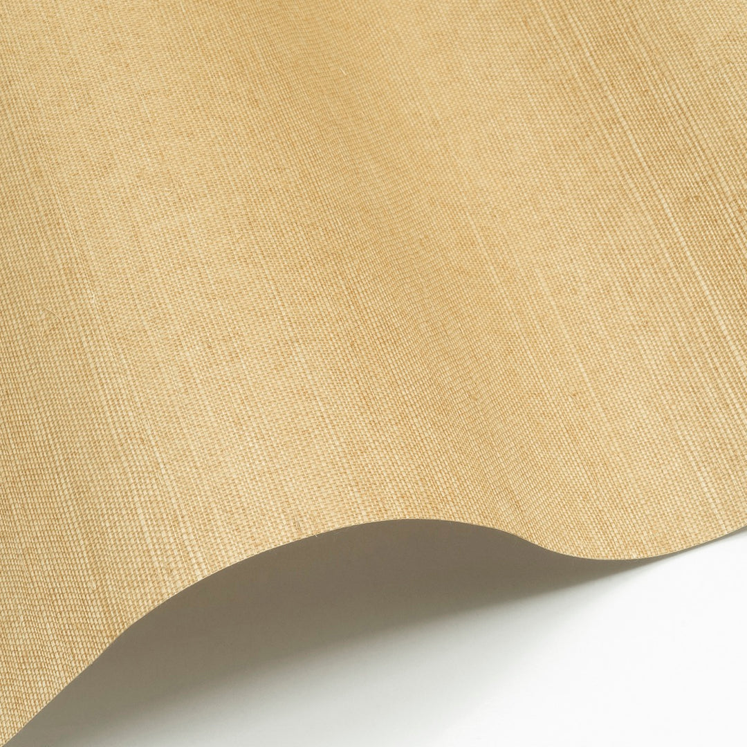 Sisal WP - SID137