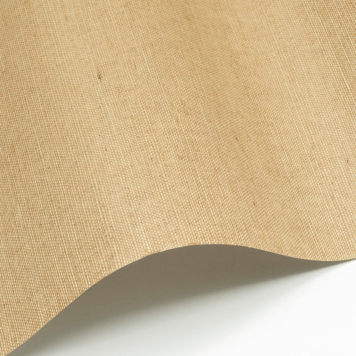 Sisal WP - SID138