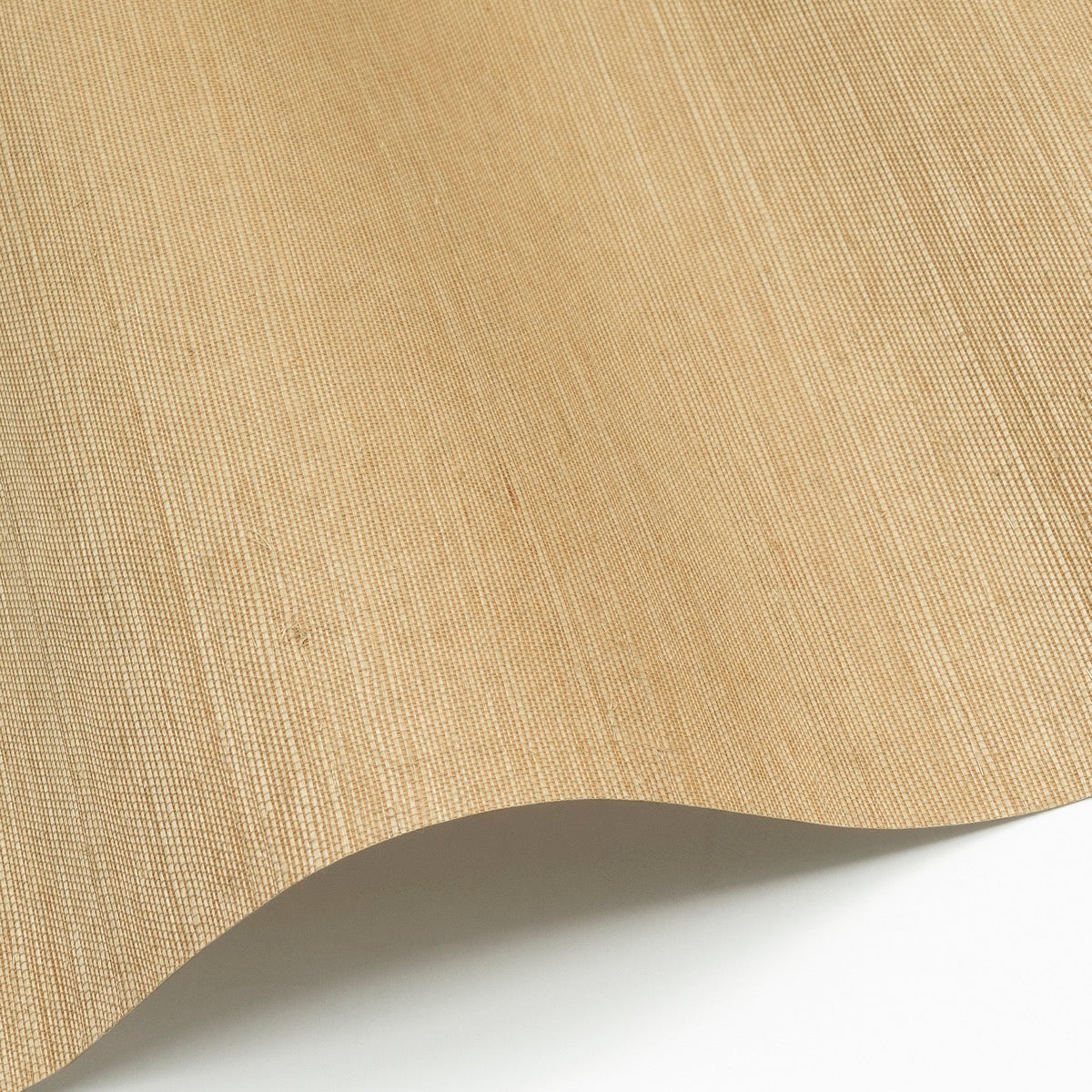 Sisal WP - SID139