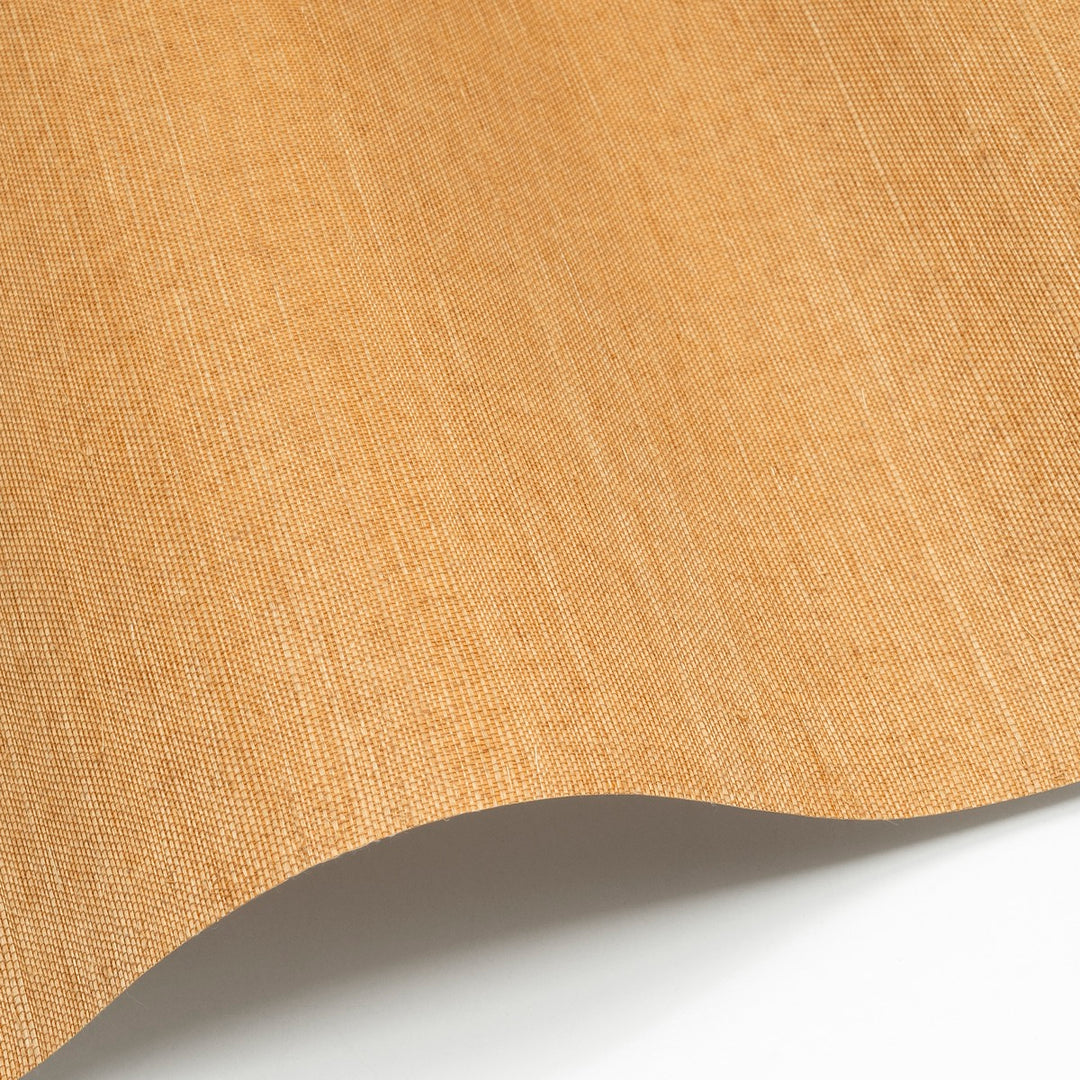 Sisal WP - SID142