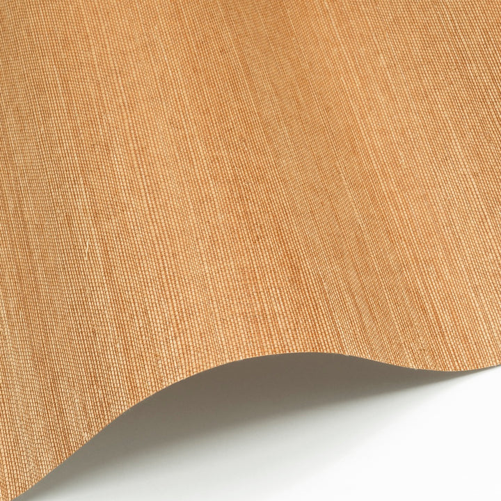 Sisal WP - SID143