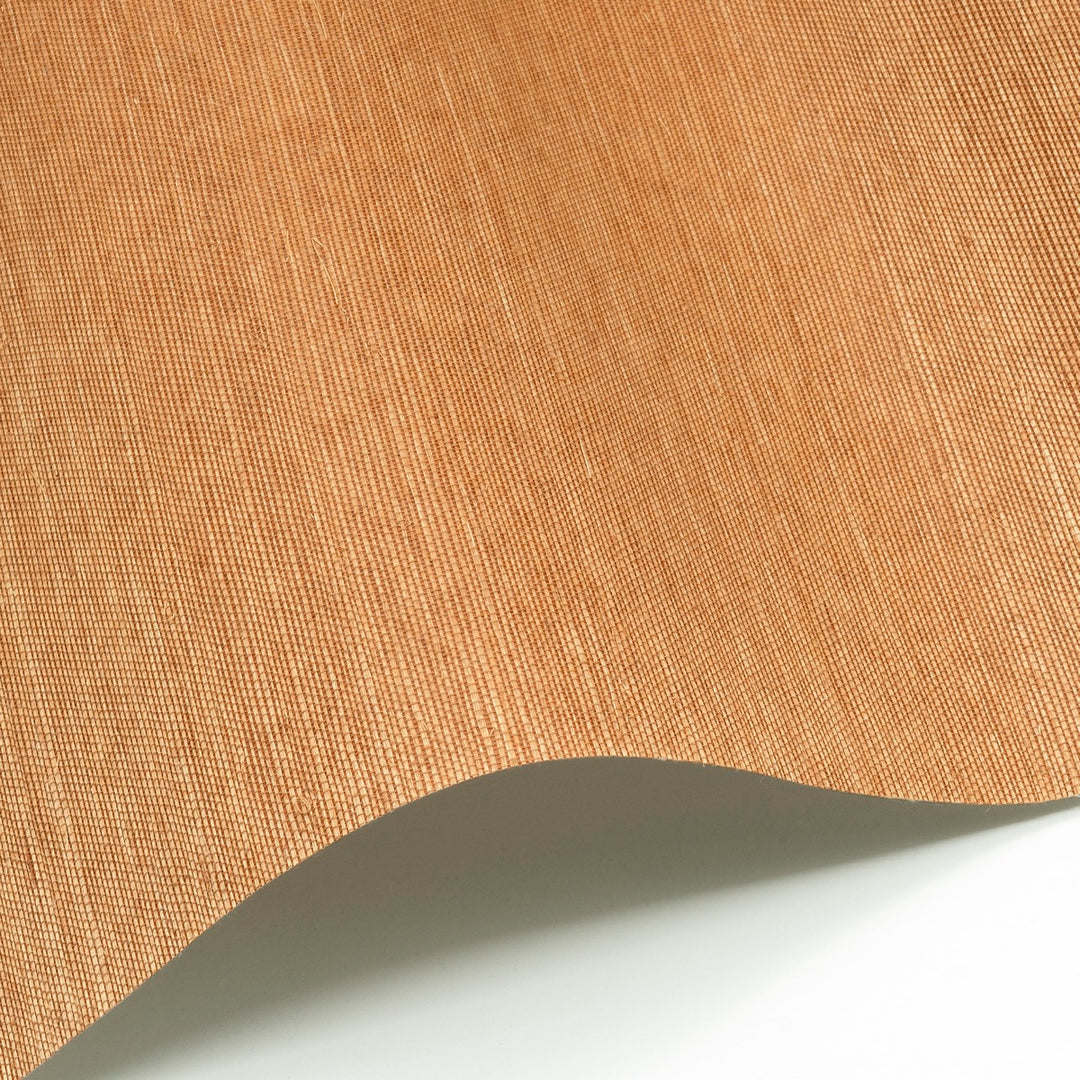 Sisal WP - SID146