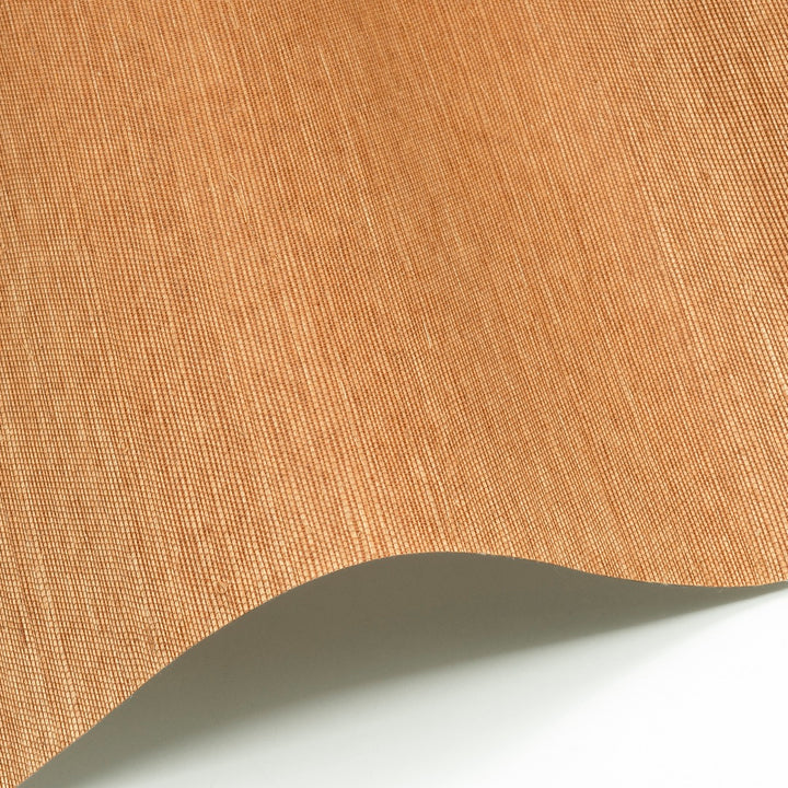 Sisal WP - SID146