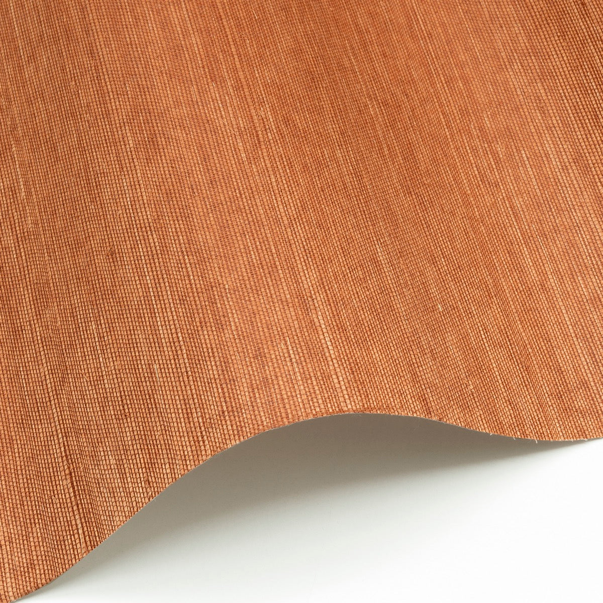 Sisal WP - SID147