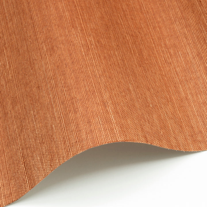 Sisal WP - SID147
