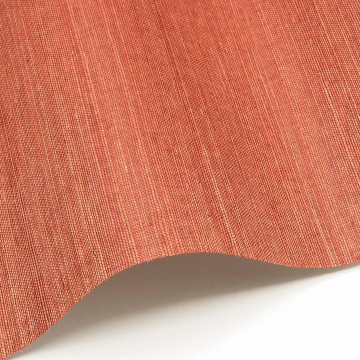 Sisal WP - SID148