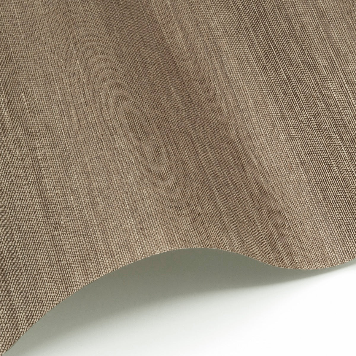 Sisal WP - SID153