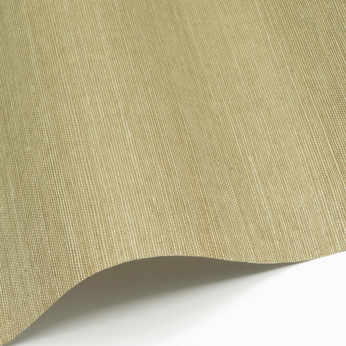 Sisal WP - SID155