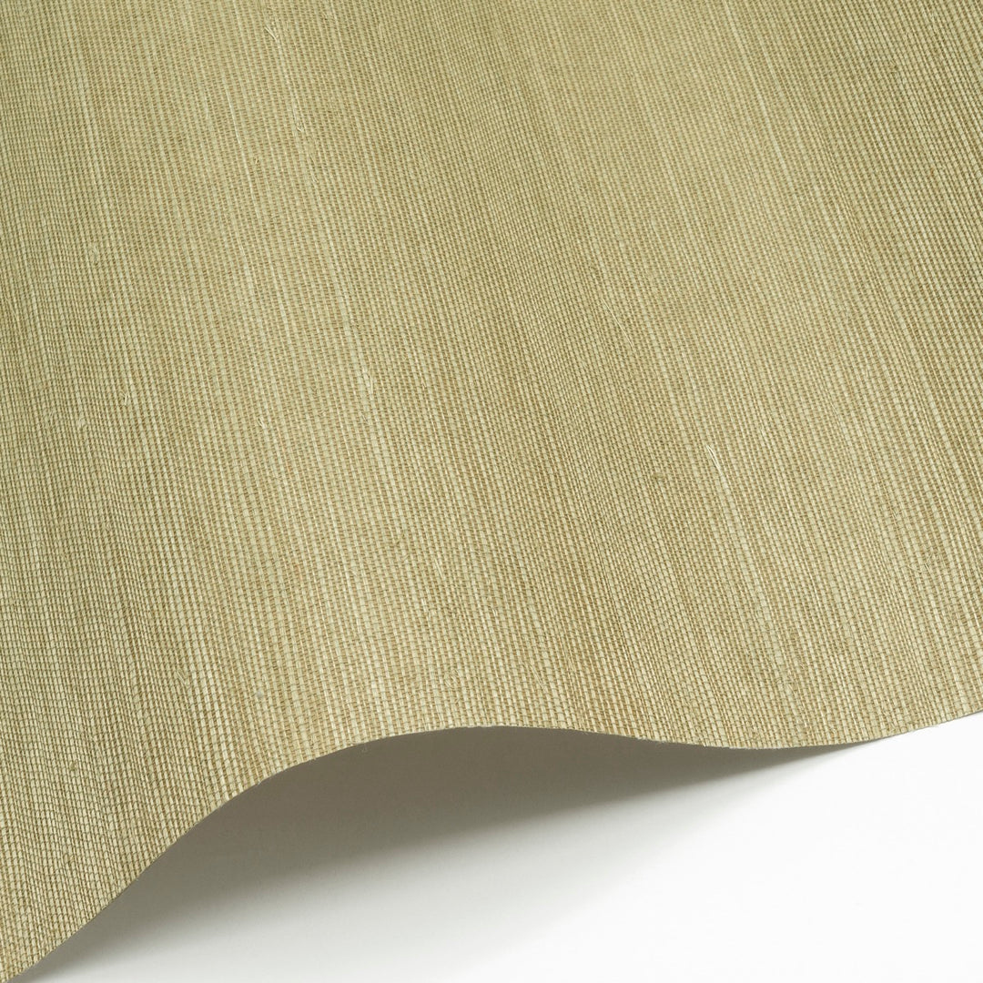 Sisal WP - SID155