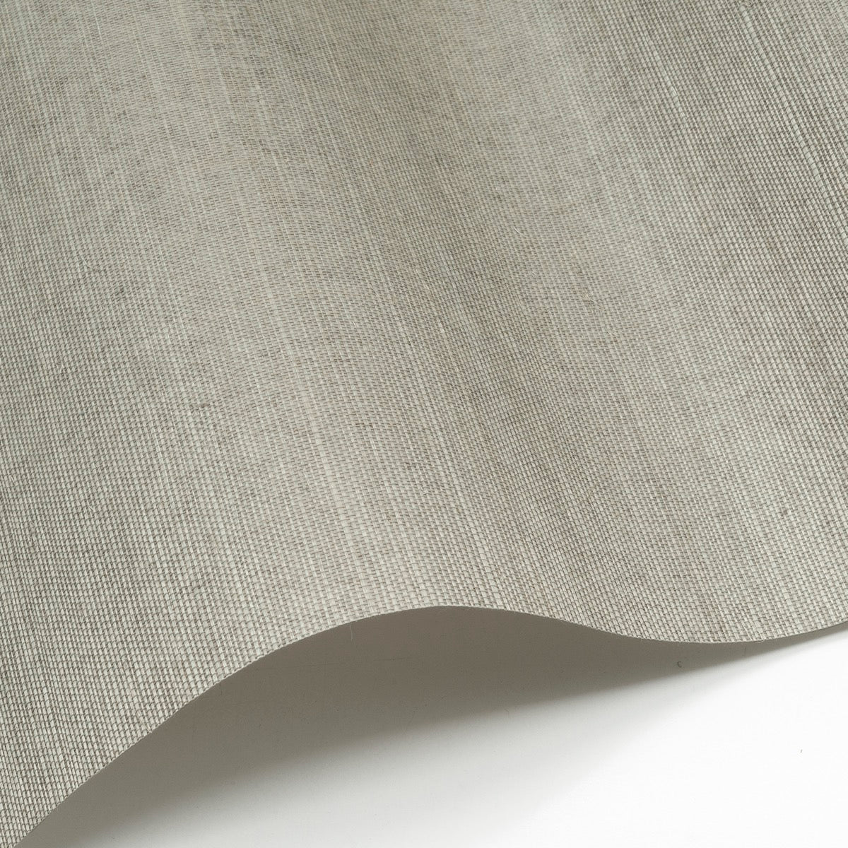 Sisal WP - SID163