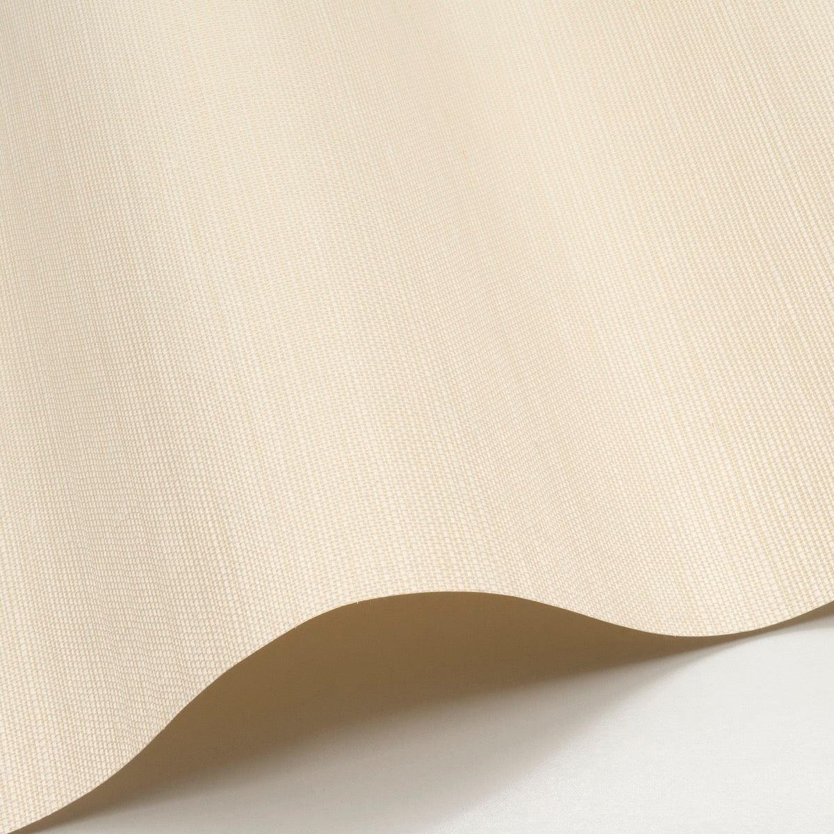 Sisal WP - SID61