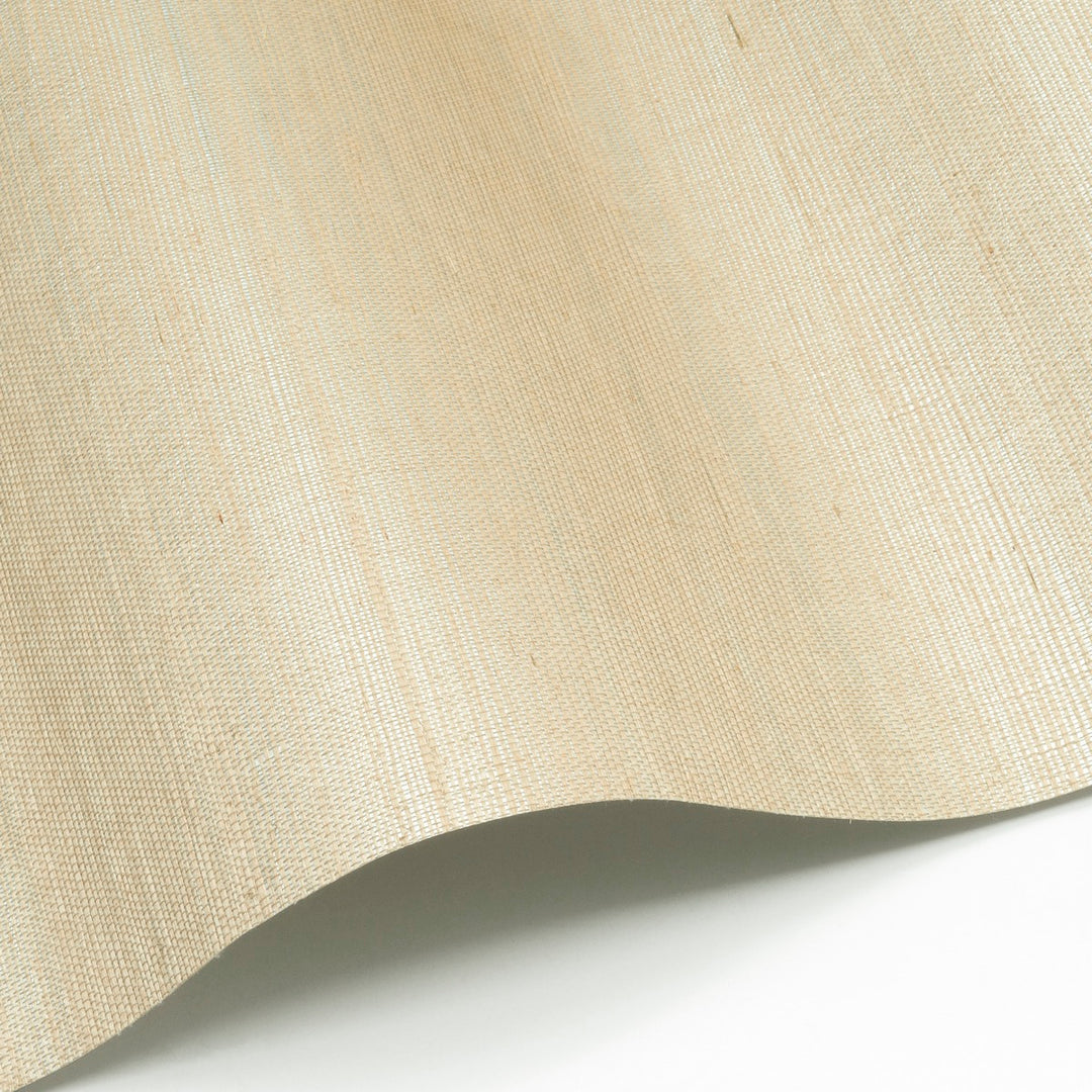 Sisal WP - SID84