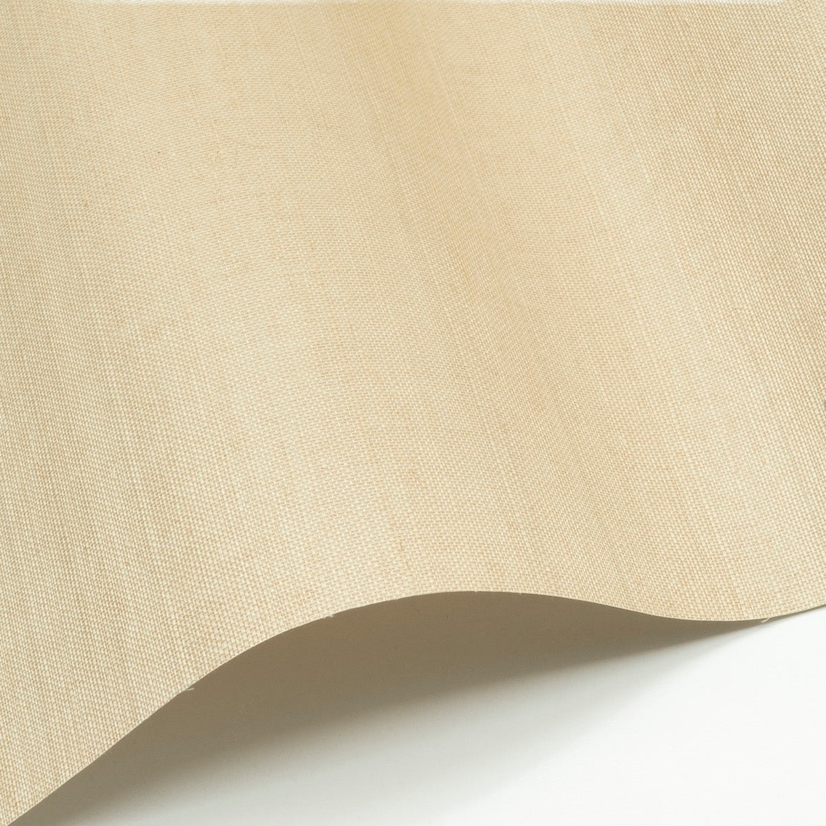 Sisal WP - SID99