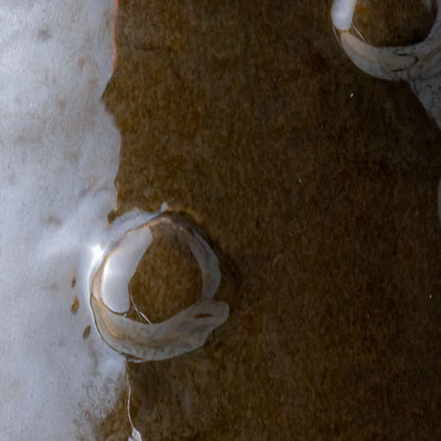 Glazed Finishes - Walnut