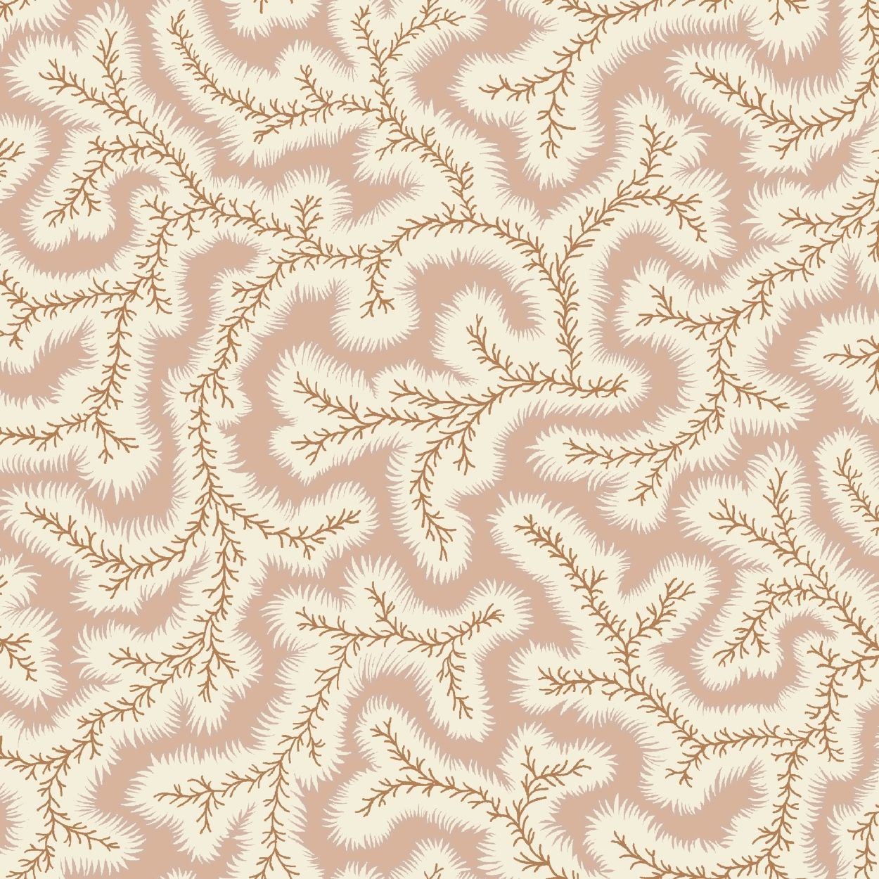 Big Dulcie Wallpaper - Shrimp