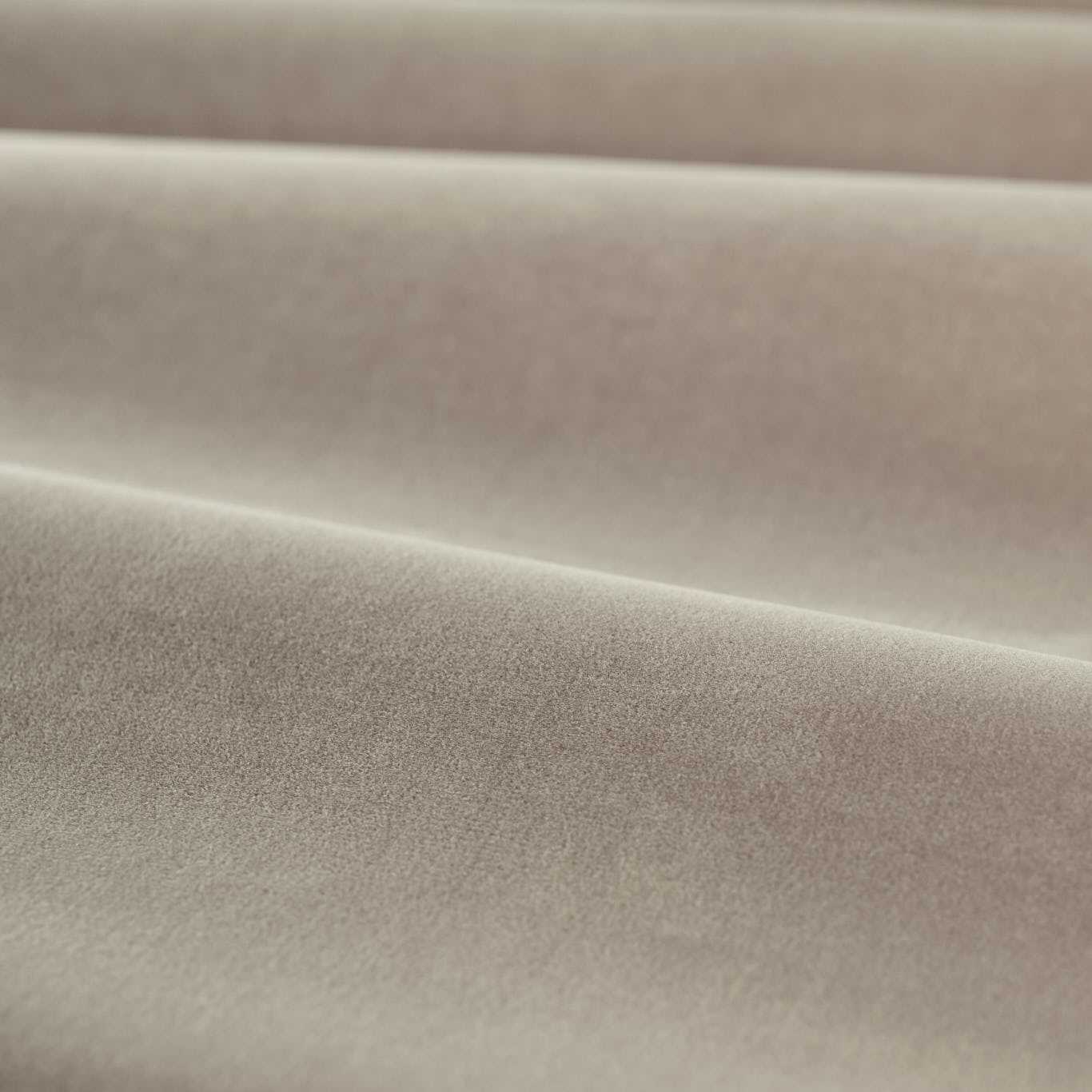 Cotton Velvet Performance - Mink