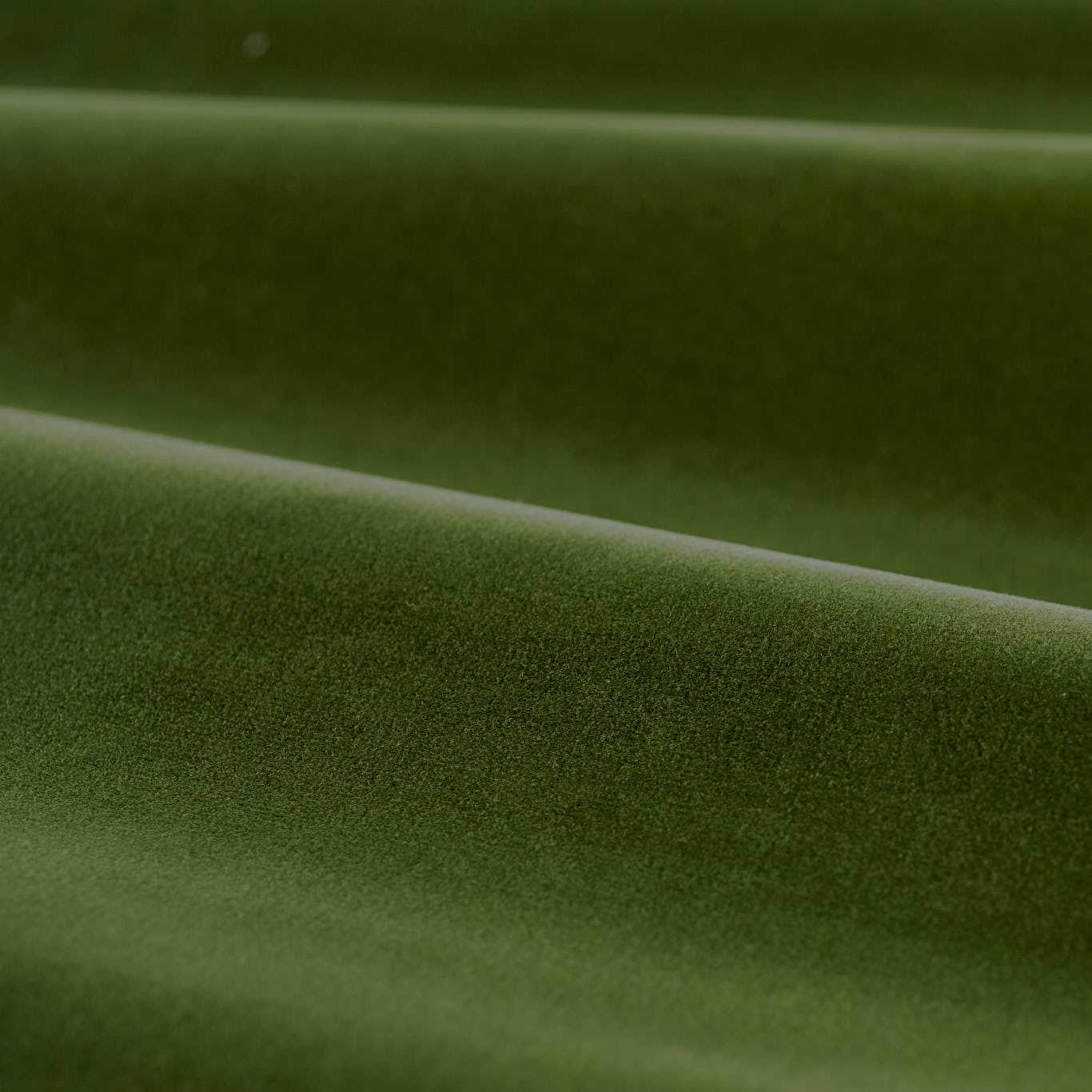 Cotton Velvet Performance - Evergreen