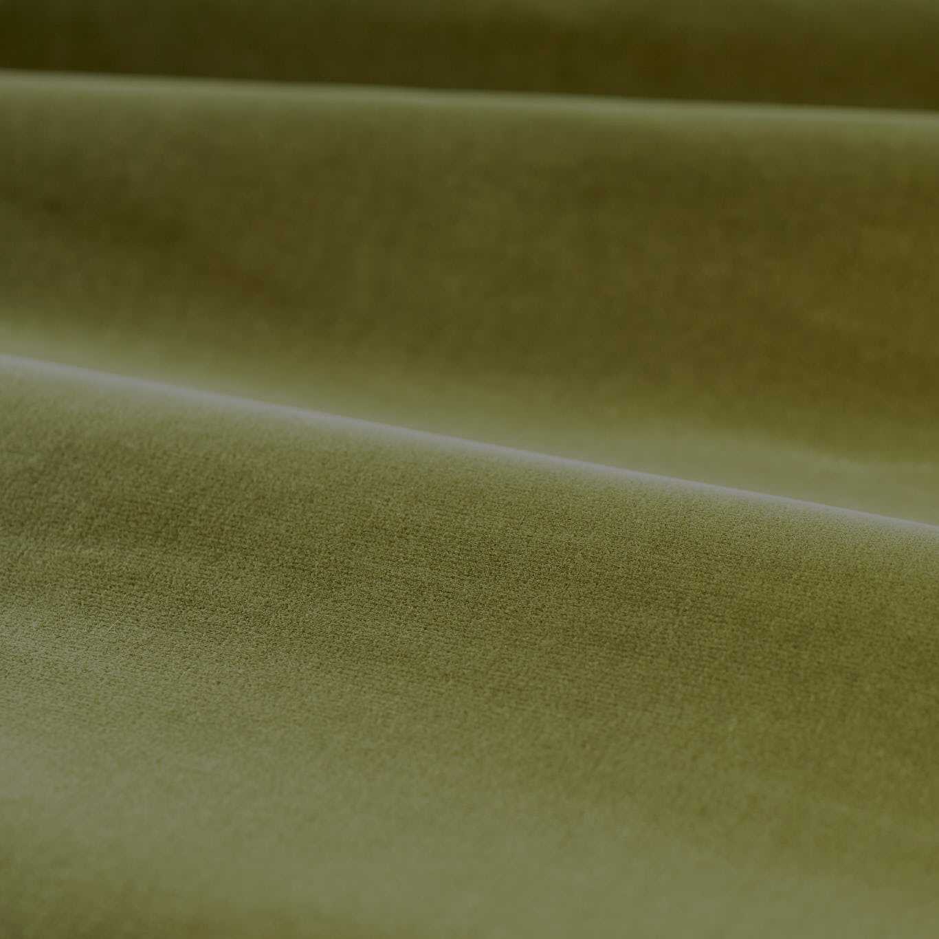 Cotton Velvet Performance - Olive