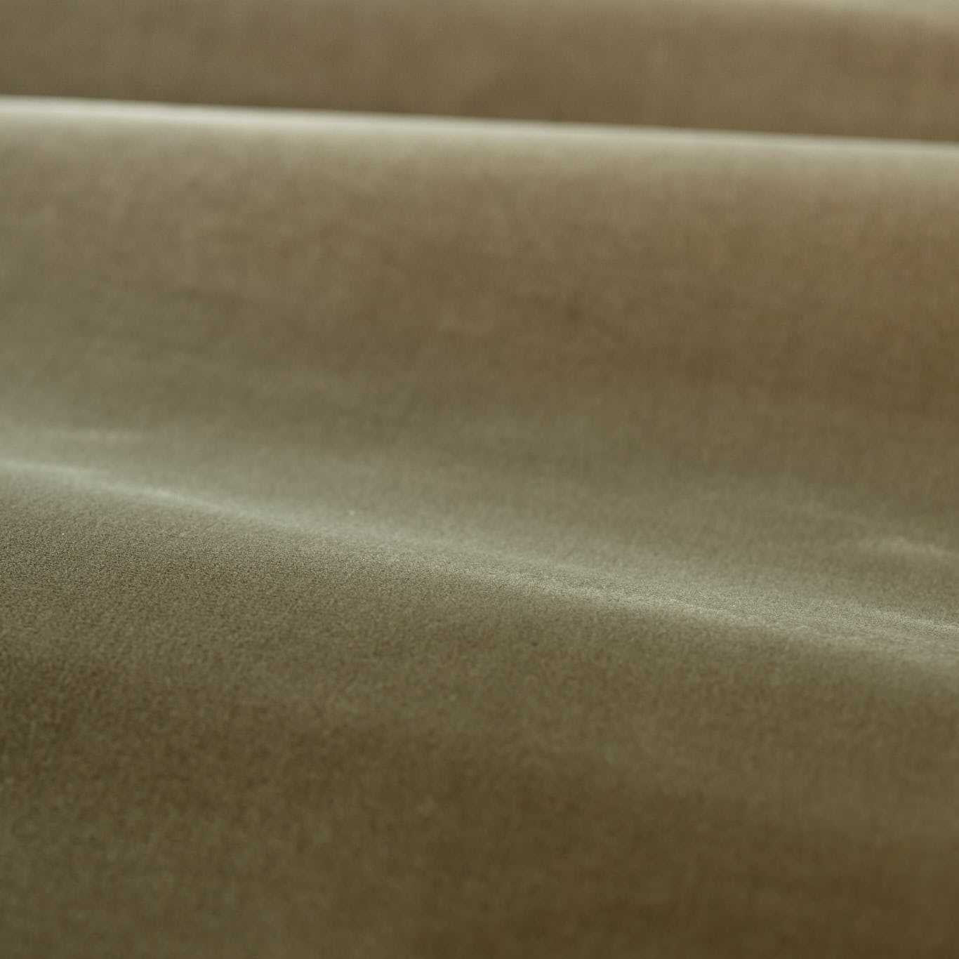 Cotton Velvet Performance - Antique Linen