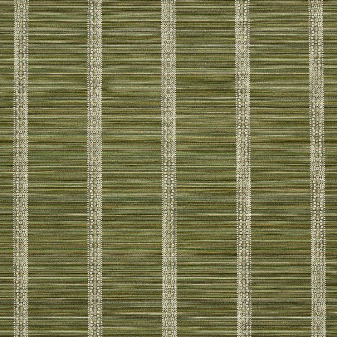 Filigree Bellagio Stripe - Evergreen