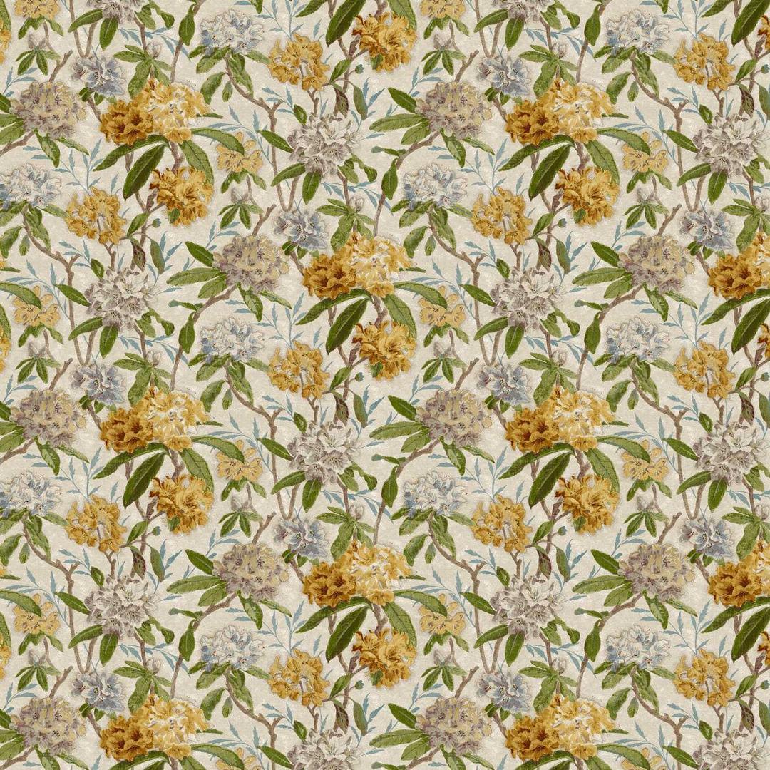 Azalea Path - Primrose / Evergreen