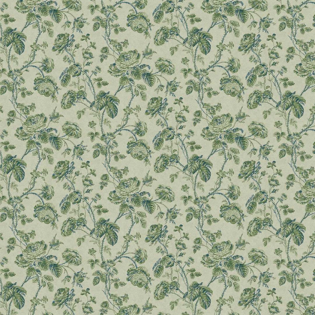 Thorny Vine - Evergreen