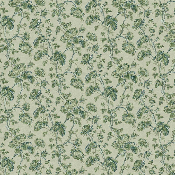 Thorny Vine - Evergreen