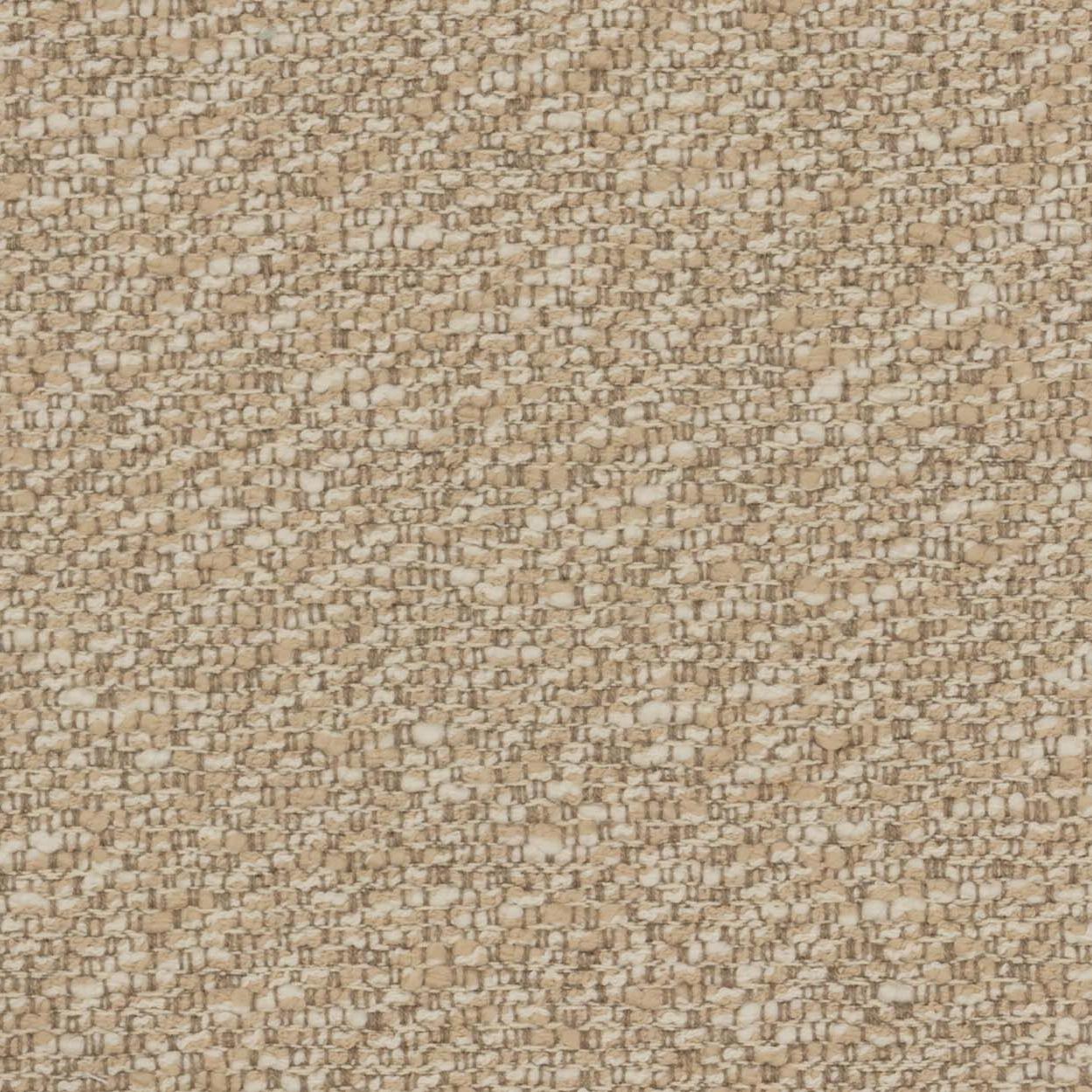 Aoyama - Sesame