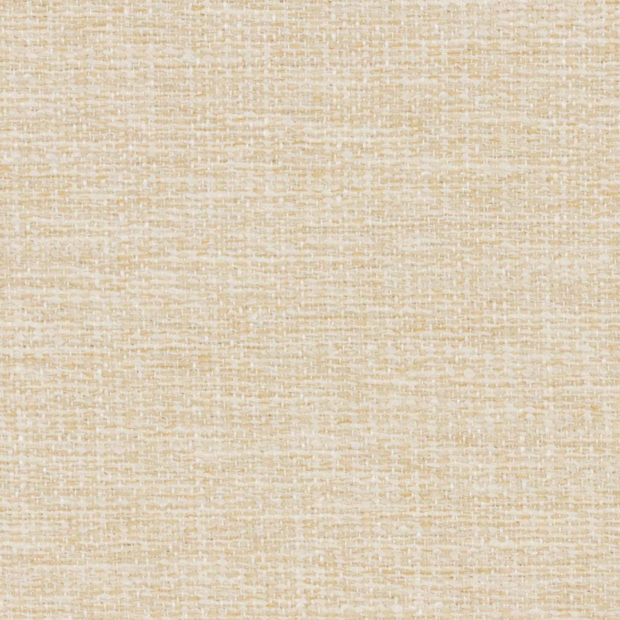 Cascadia Avenue - Travertine