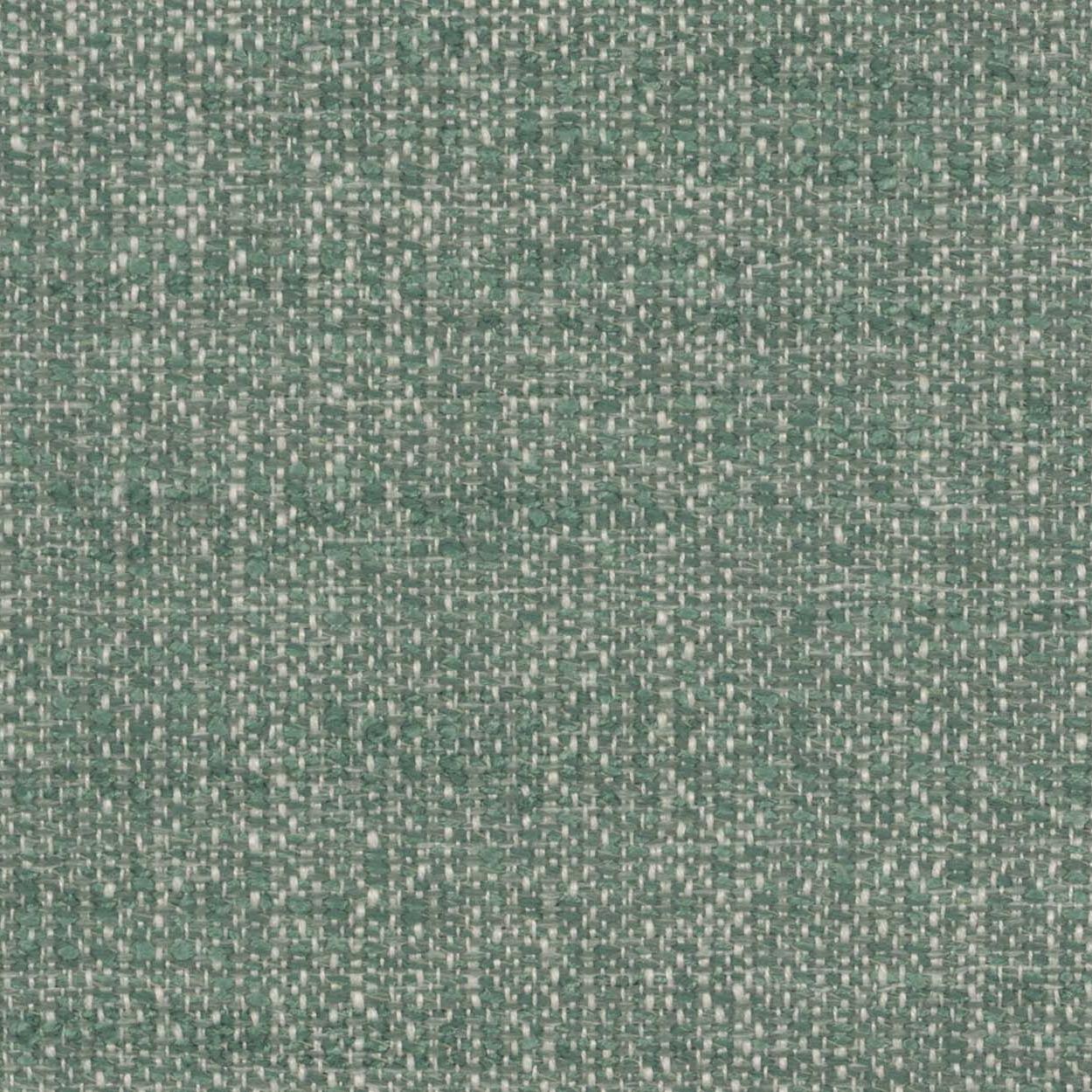 Cascadia Avenue - Blue Spruce