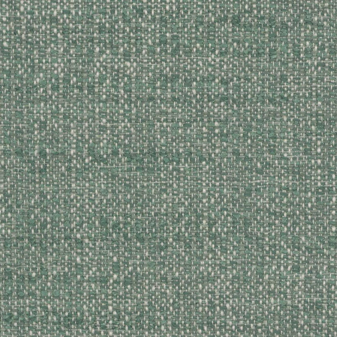 Cascadia Avenue - Blue Spruce