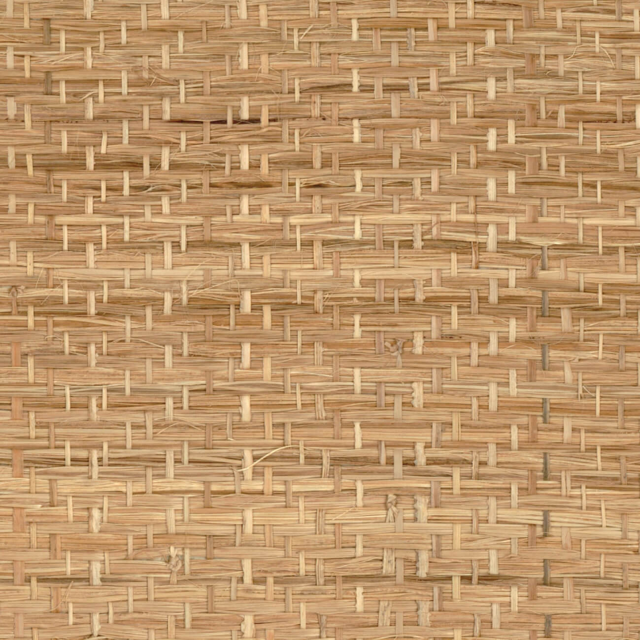 Abaca Herbace Naturel