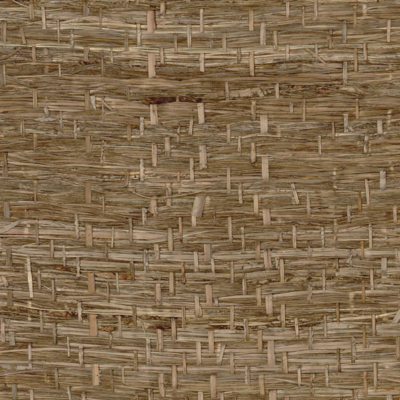 Abaca Herbace Pierre