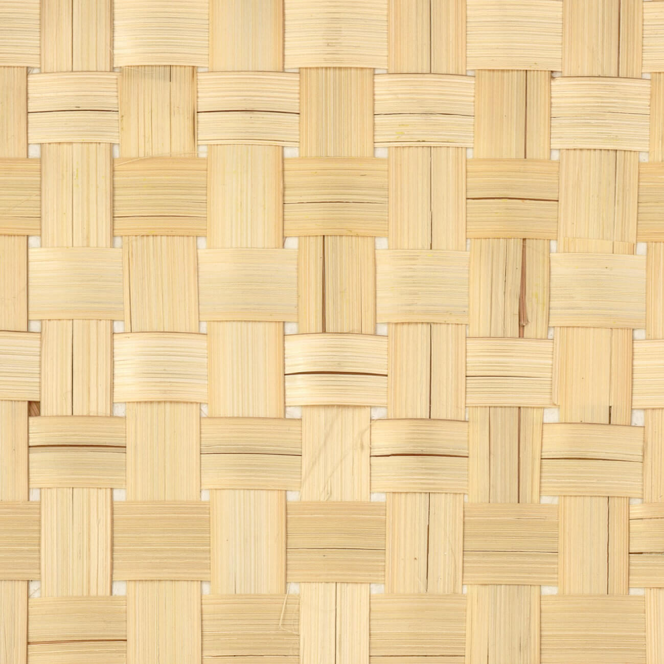 Bambou Canvas Naturel