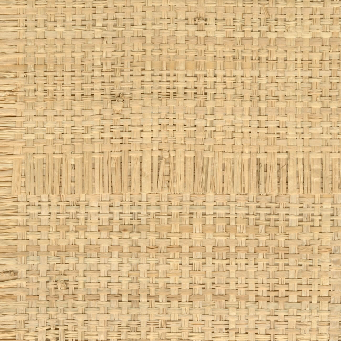 Raphia Cadre Naturel