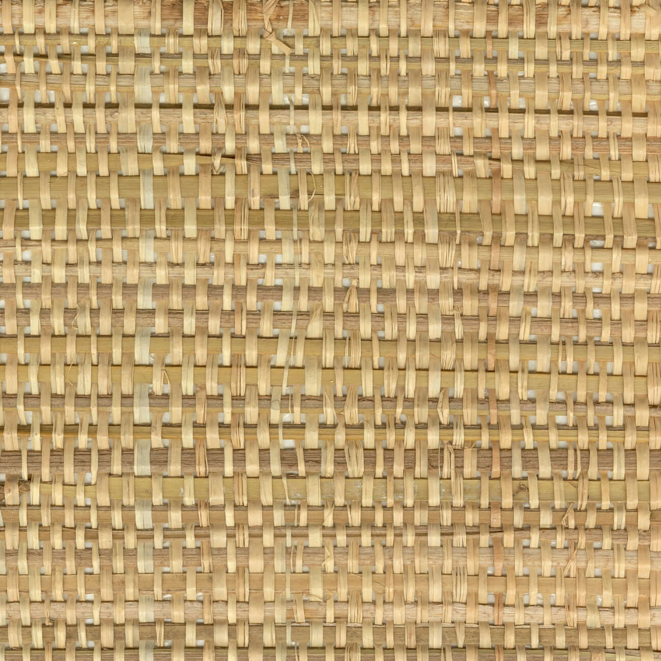 Papyrus Brut Naturel