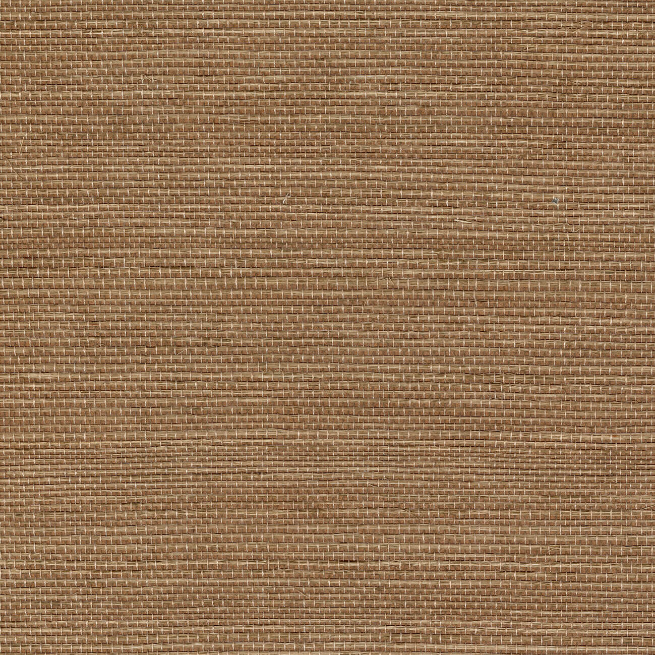 Sisal - Ecorce