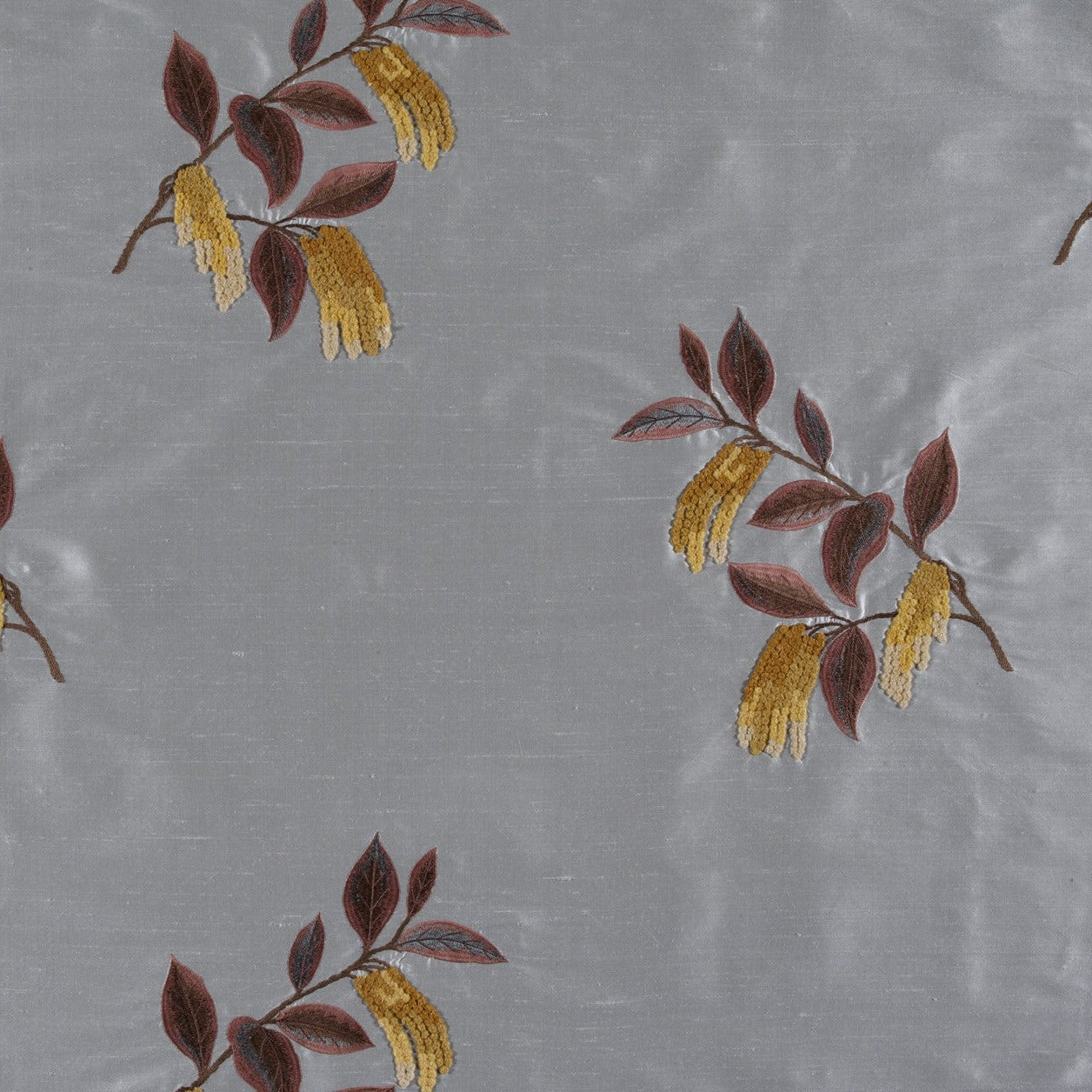 Corylus - Gold / Marron