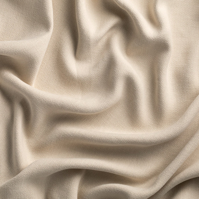Shamba - Cashew