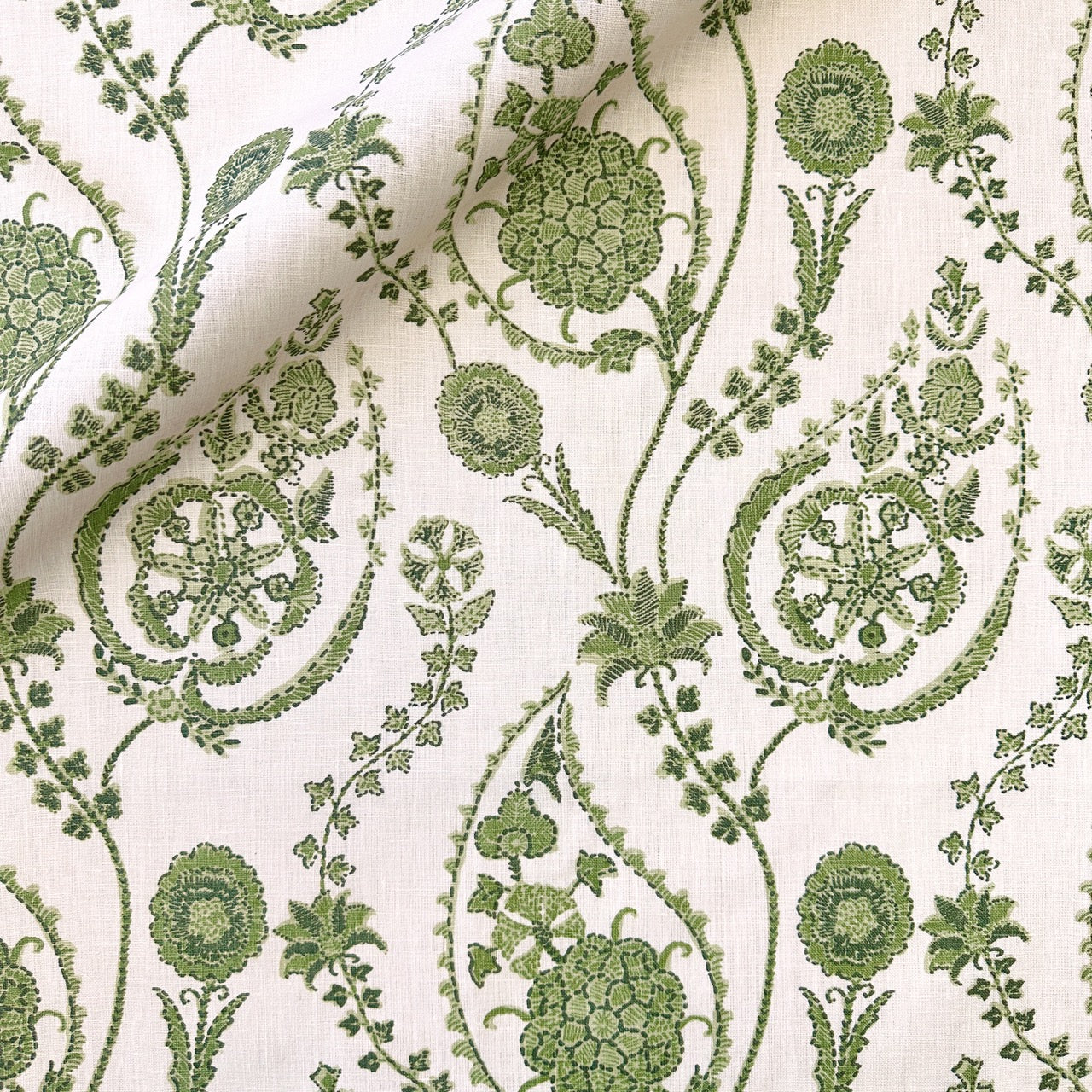 Delfyn Paisley - Parsley