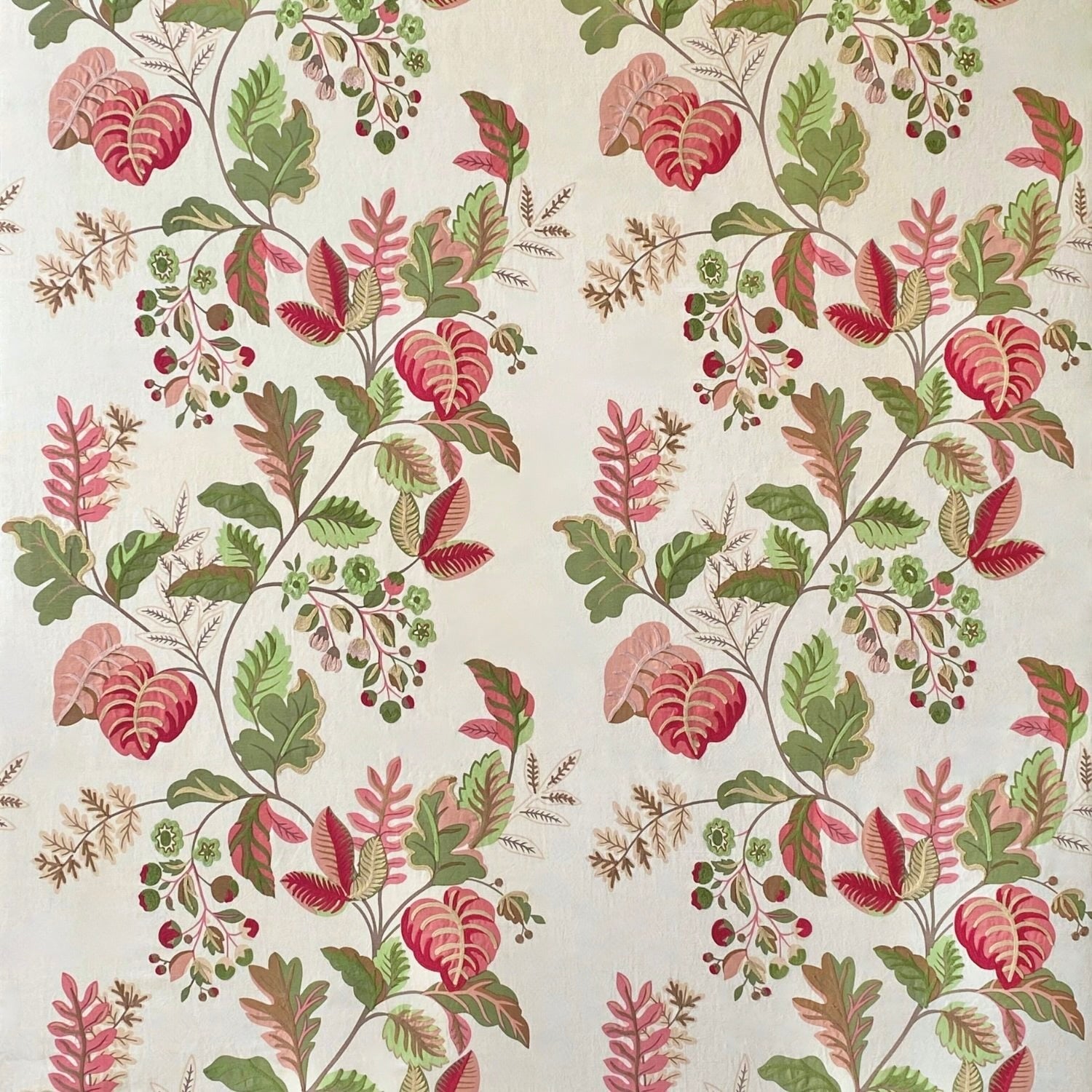 Eglantine - Rose