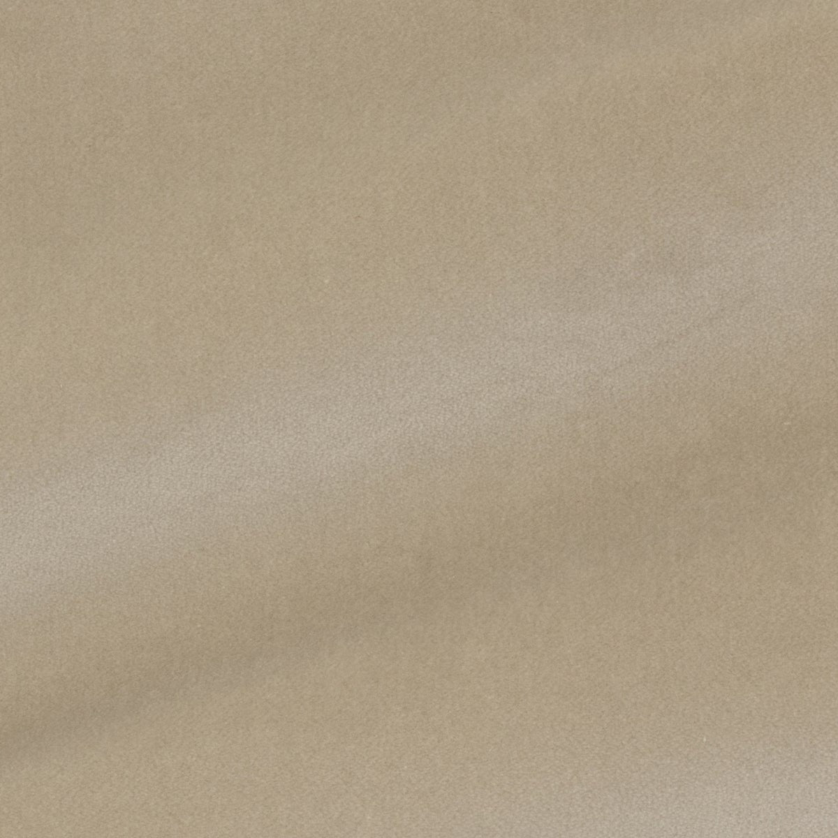 Glant Cotton Velvet - Pale Mocha