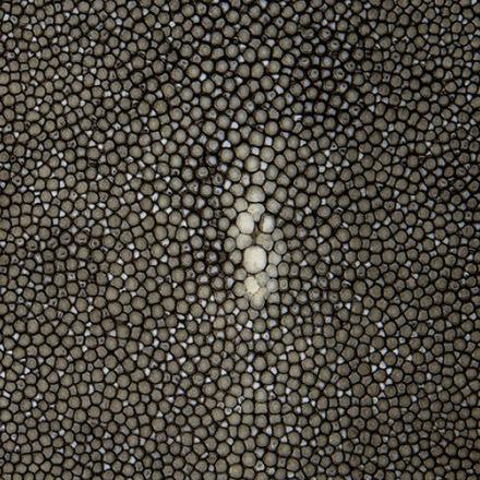 Shagreen - Graphite