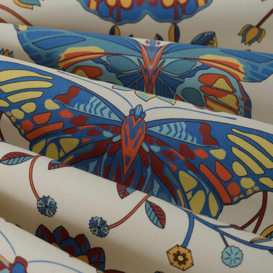 Papilio - Cobalt