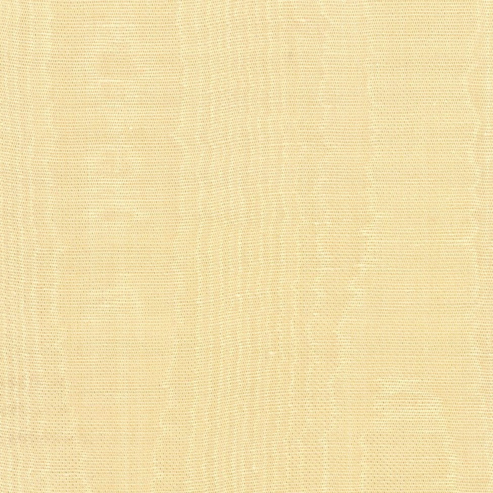 Misa Moire Plain - Champagne