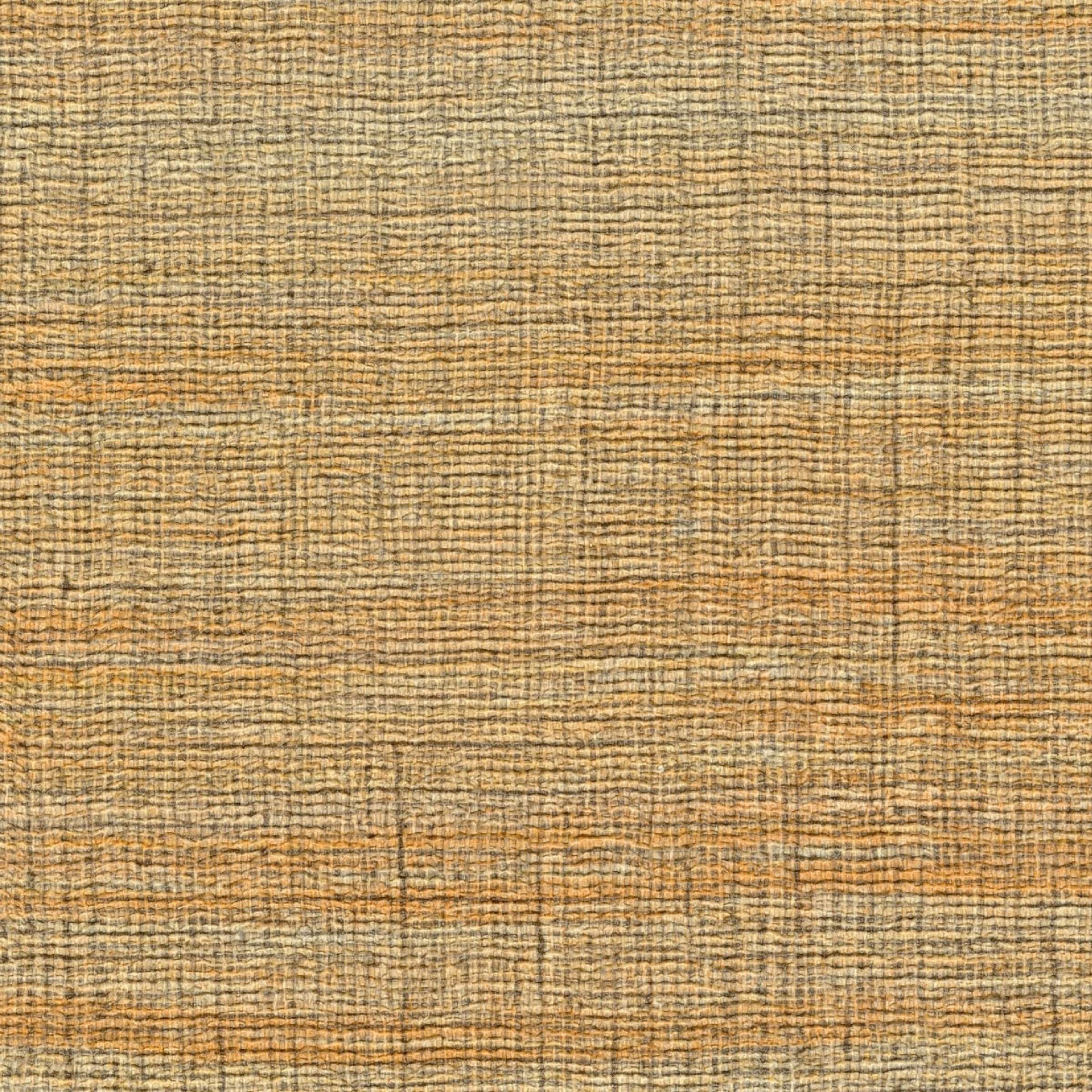 Rhea - Un Detour Dans La Savane