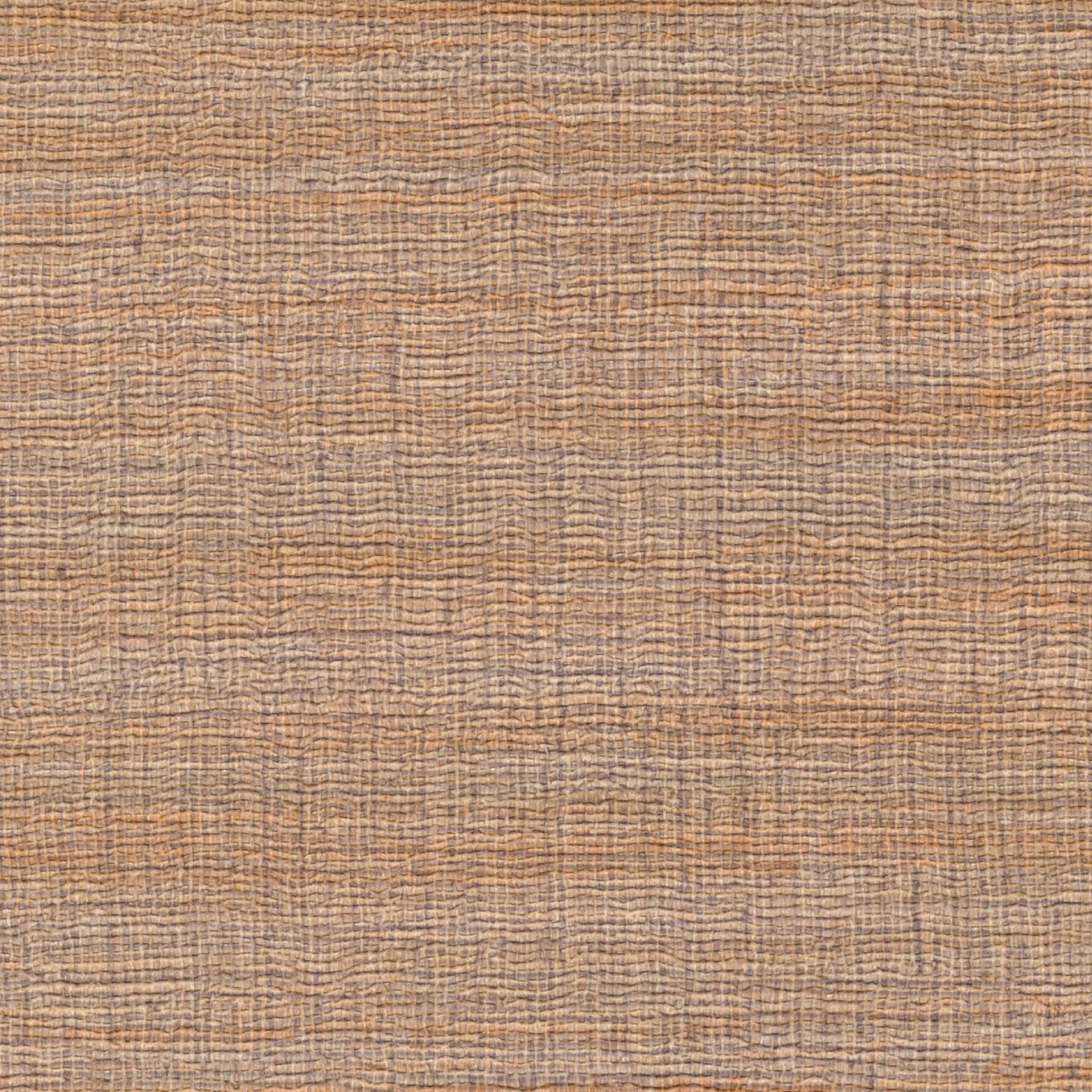 Rhea - Son Cote Dandy