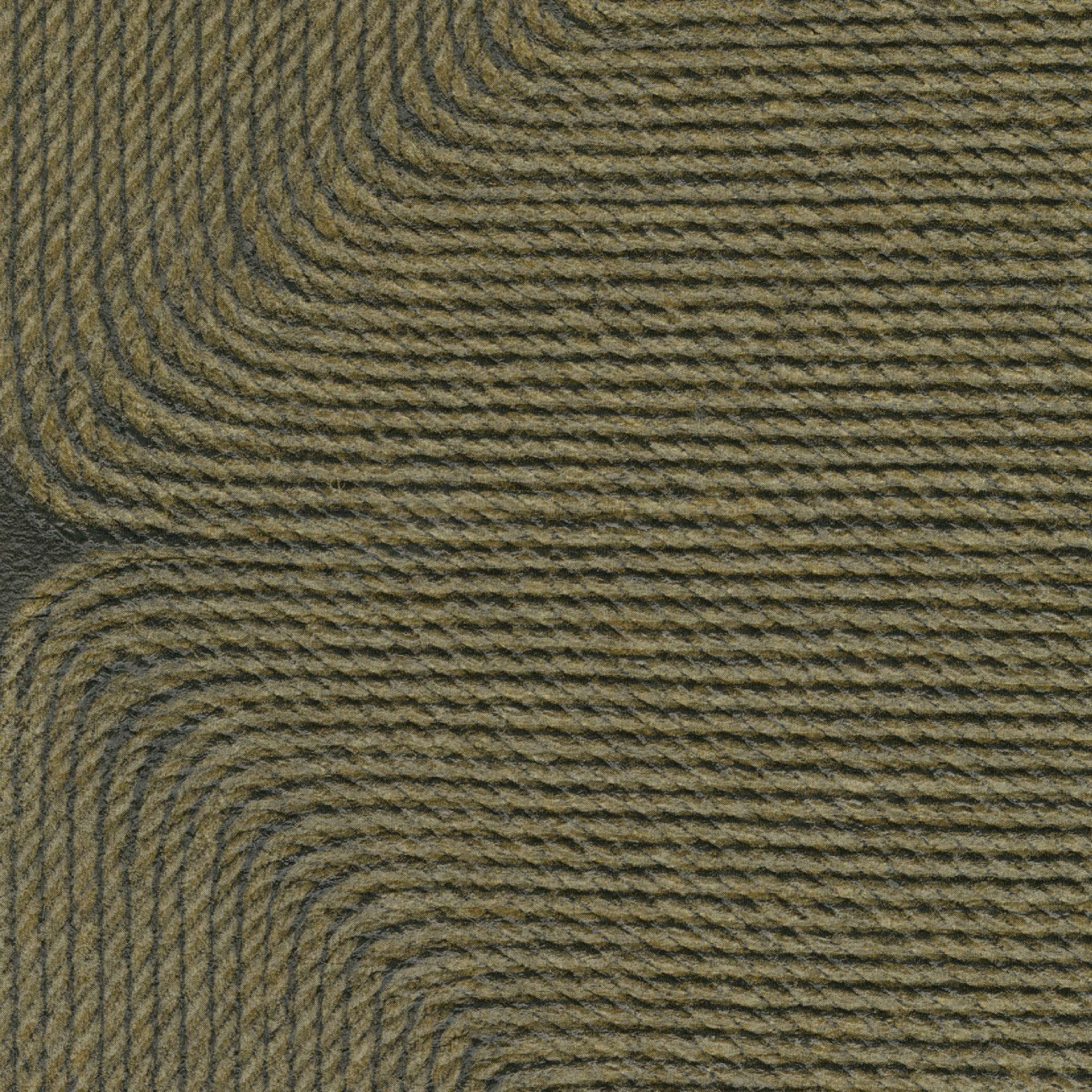 Cocon - Le sens de l'esthétique