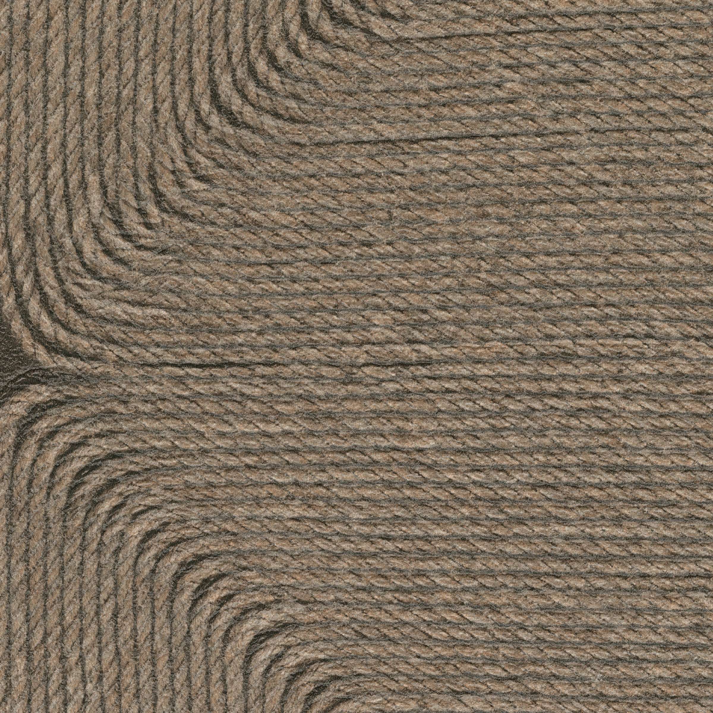 Cocon - Une matičre brute