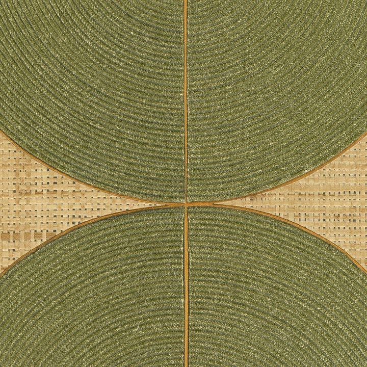 Courbes - Danser sur une corde